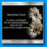 [zum Vergr��ern anklicken]